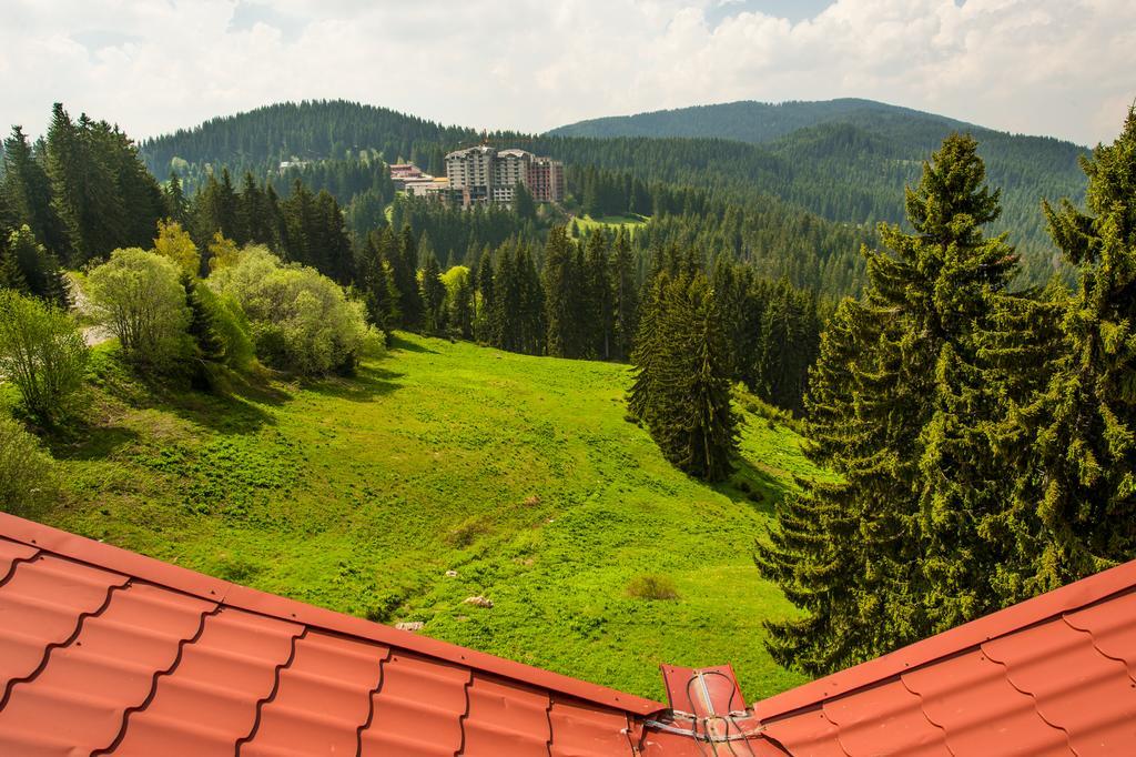 Snezhanka Hotel Pamporovo Extérieur photo